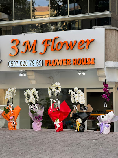 3m Flower House