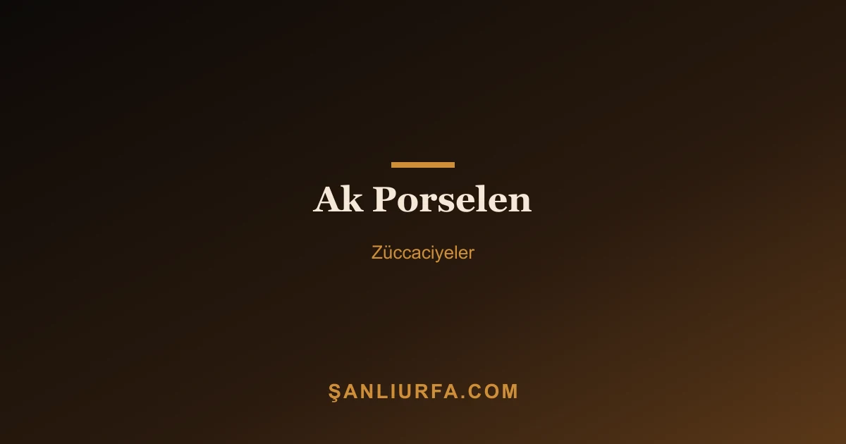 Ak Porselen