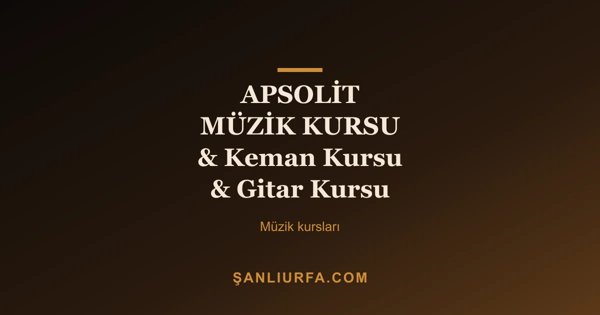 APSOLİT MÜZİK KURSU & Keman Kursu & Gitar Kursu
