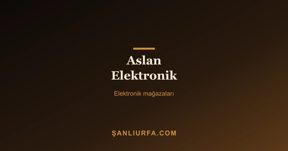 Aslan Elektronik