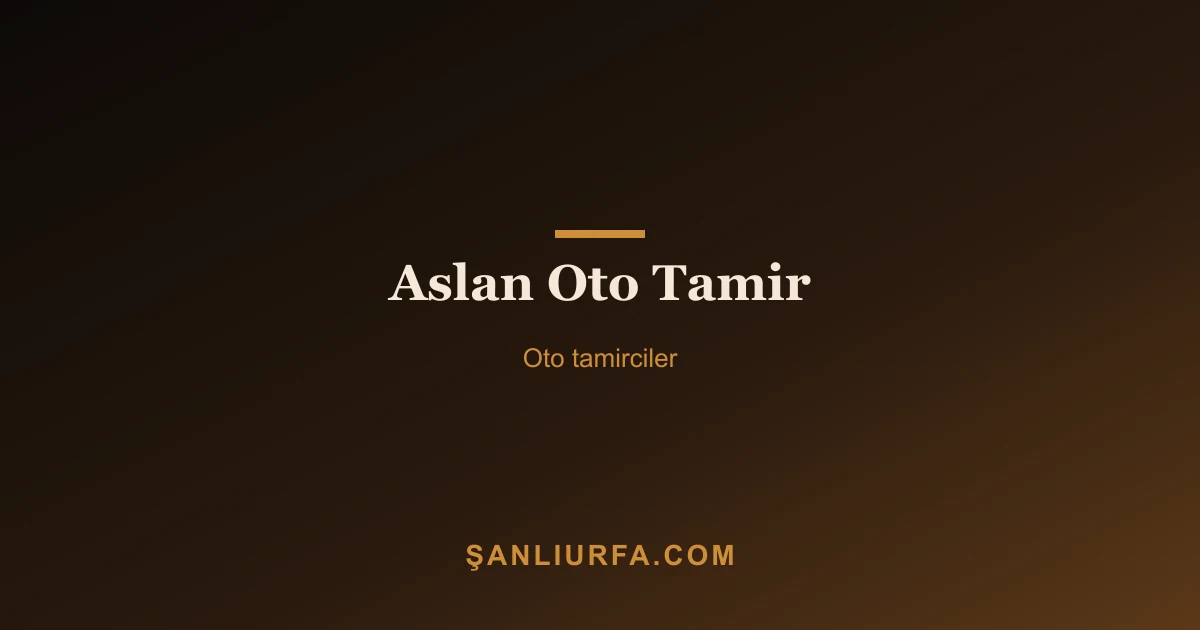 Aslan Oto Tamir