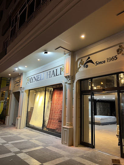 Ayneli Hali
