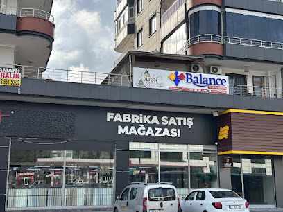 Balance Eğitim Kurumları