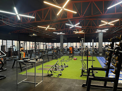 BEST GYM