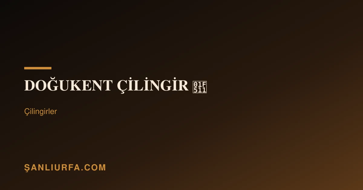 DOĞUKENT ÇİLİNGİR 🔑