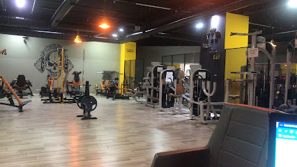 fitness club vibe city