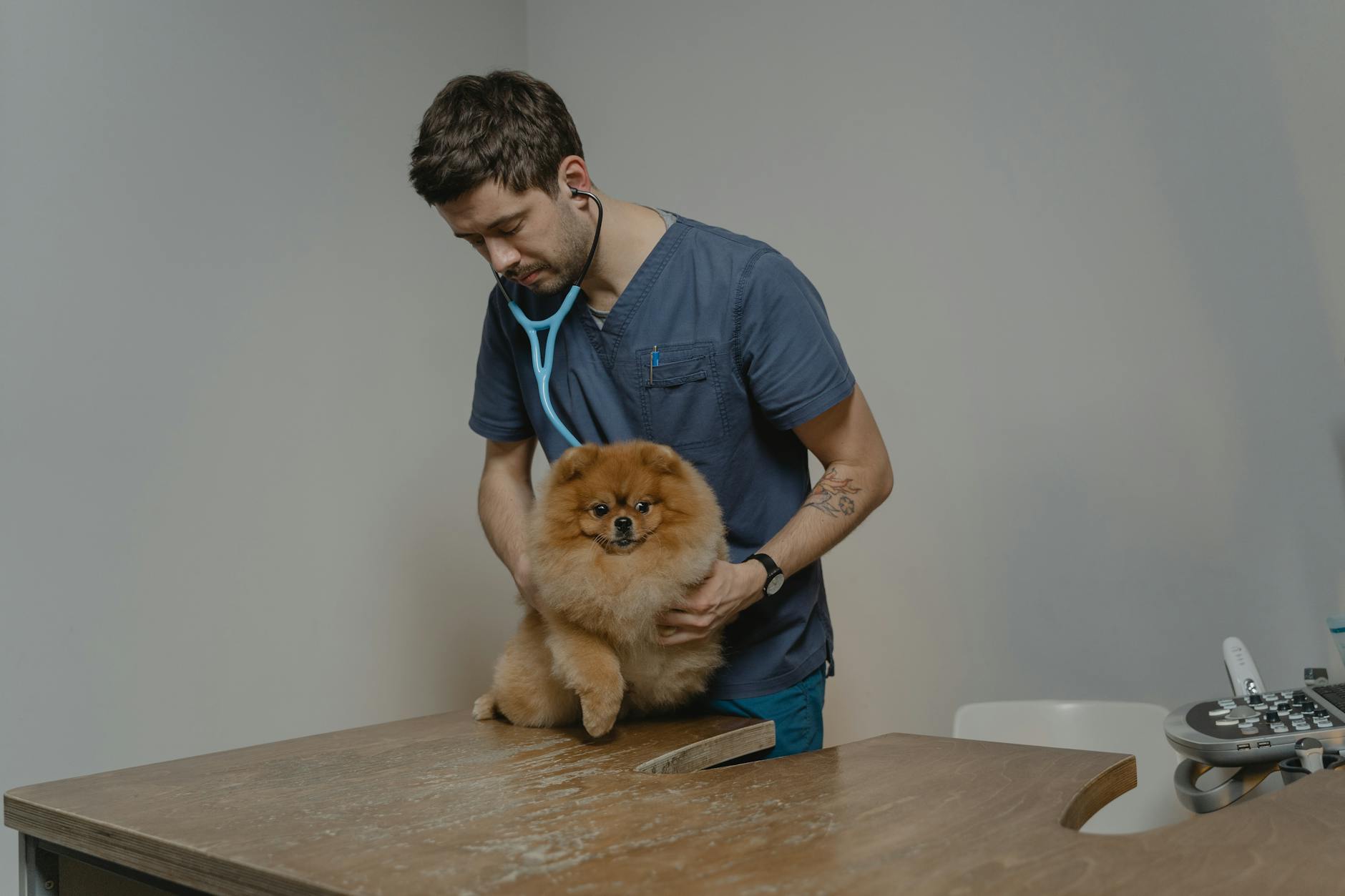Güneydoğu Veteriner Kliniği