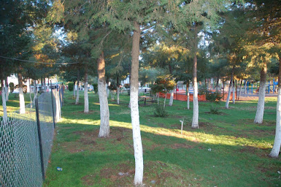 Haliliye