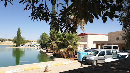 Harran University Faculty of Agriculture