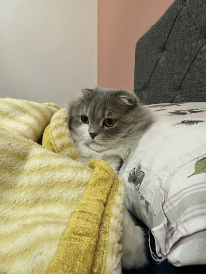 Karaköprü Veteriner Kliniği