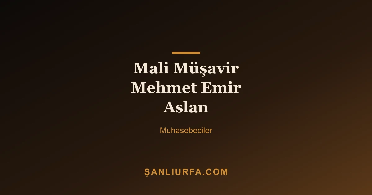 Mali Müşavir Mehmet Emir Aslan