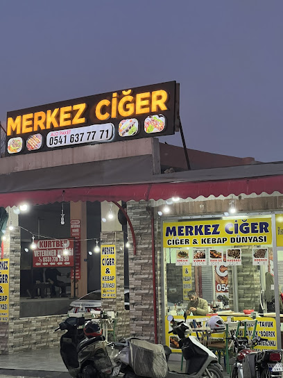 Merkez ciger