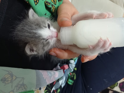 Pet Akademi Veteriner Kliniği