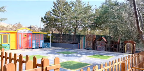 Pomegranate Flower Kindergarten