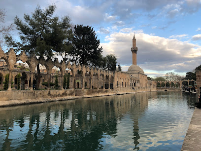 Şanlıurfa TÜRSAB Bölge Temsil Kurulu