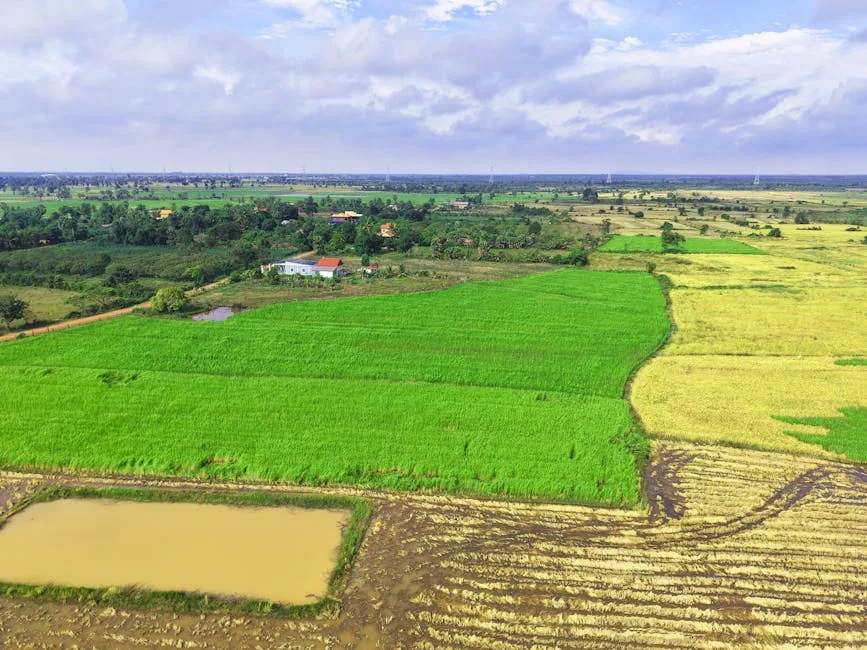 Siverek Arsa Emlak