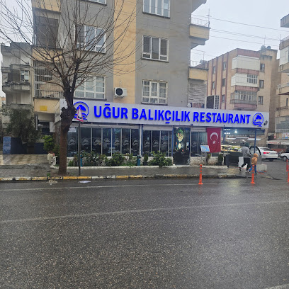 Uğur Balıkçılık