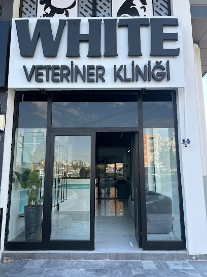 White Veteriner Kliniği