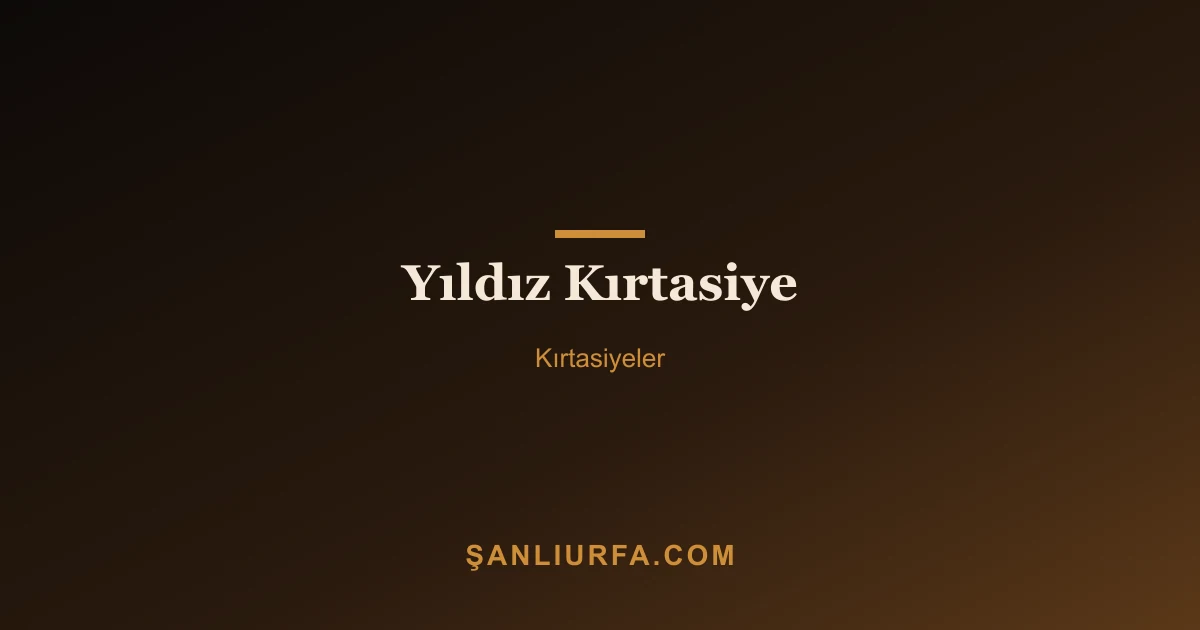 Yıldız Kırtasiye
