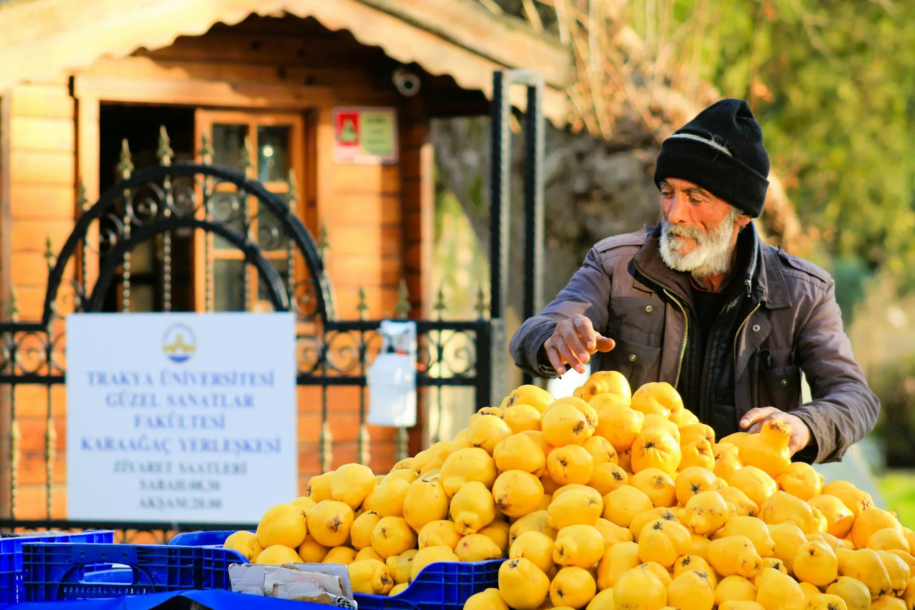 Ayva Dolması